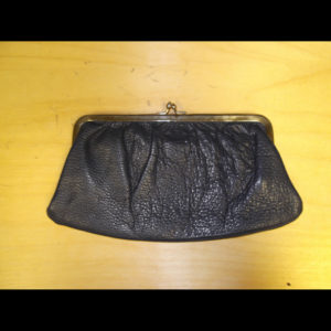 Blue Purse Wm Prs no strp 4000