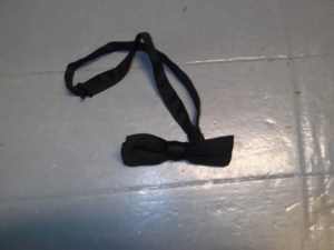 Black Bowtie-BWTI 1012- Solid