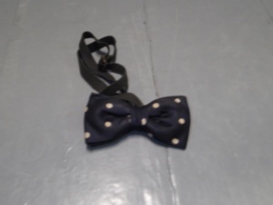 Blue and white Bowtie-BWTI 4000- Polka dots