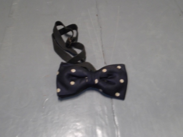 Blue and white Bowtie-BWTI 4000- Polka dots