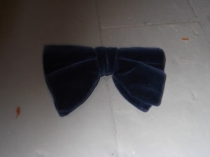 Navy Bowtie-BWTI 4011- Solid, velvet