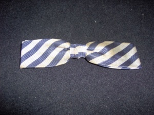 Blue and silver Bowtie-BWTI 4014- Diagonal stripes