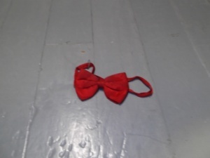 Red Bowtie-BWTI 7021- Tonal paisley design