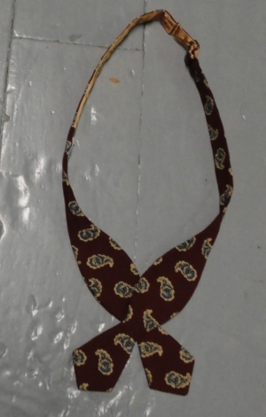 Burgundy, blue, and tan Bowtie-BWTI 7098- Paisley pattern