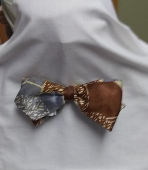 Purple and brown Bowtie-BWTI 9000- Abstract lines and shapes