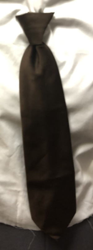 Brown Clip-on Tie-CL TI 6008- Medium wide
