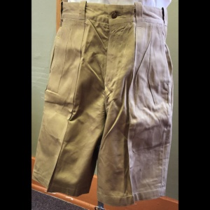 Military Shorts