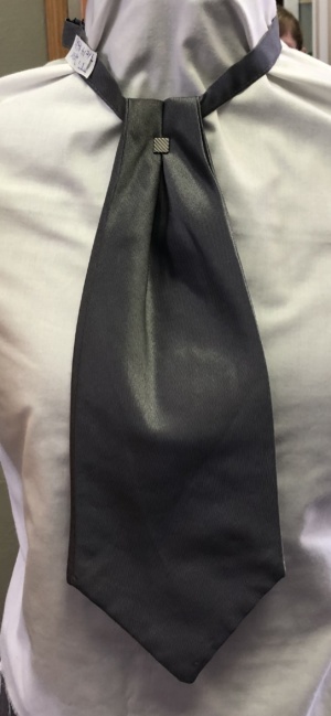 Grey Necktie-TI 2038- Solid (Tie: 14; Neck: Adjustable)