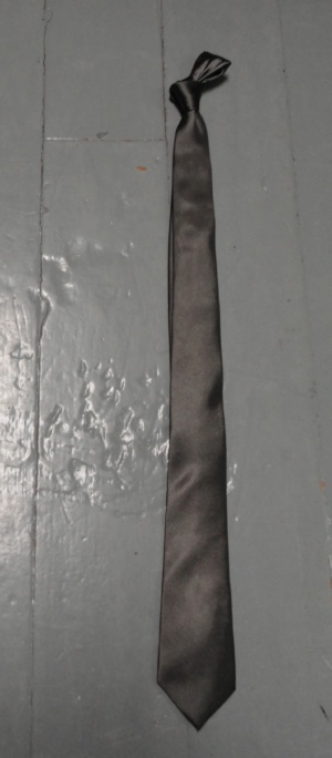 silver Necktie-TI 2041- Solid; silk