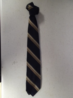 Blue and brown and tan Necktie-TI 4332- Wide striped tie.