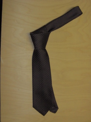 Dark brown and white Necktie-TI 6012- polka dots