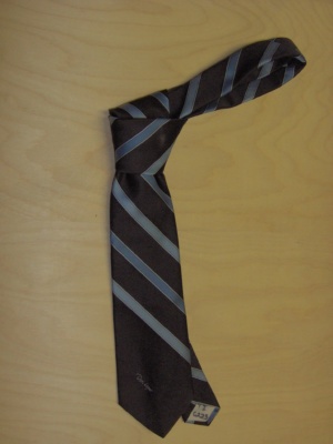 Dark brown and blue Necktie-TI 6223- striped
