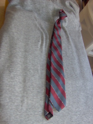 Burgundy, steel grey, and white Necktie-TI 7035- Diagonal Stripe