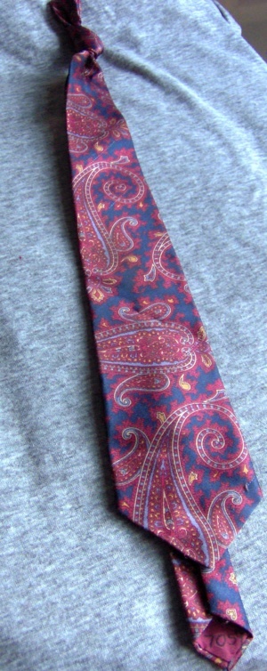 Red and blue Necktie-TI 7059- Paisley