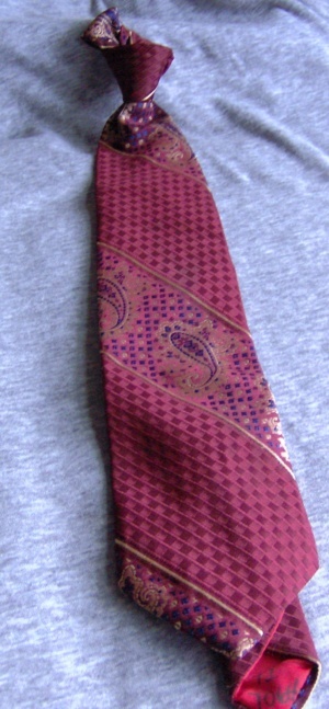 Burgundy and blue Necktie-TI 7064- Paisley