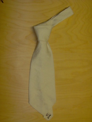 White Necktie-TI 8006- paisley tone on tone