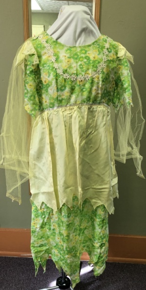 Green and yellow Fairy Dres-FY DR 3825-Ppan-Top Chest 40