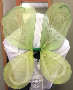 Green Fairy Wings-FY WNG 3001-Ppan-