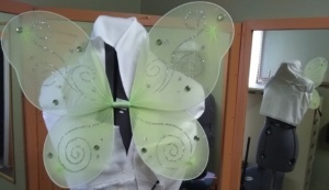 Green Fairy Wings-FY WNG 3014-Ppan-