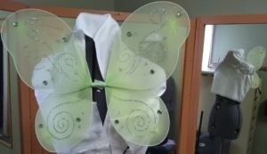 Green Fairy Wings-FY WNG 3015-Ppan-