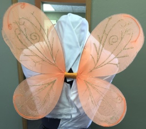 Orange Fairy Wings-FY WNG 5000-Ppan-