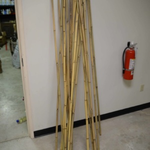Bamboo Poles