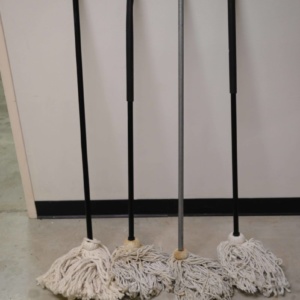 Mops