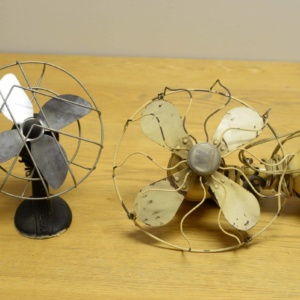 Fans