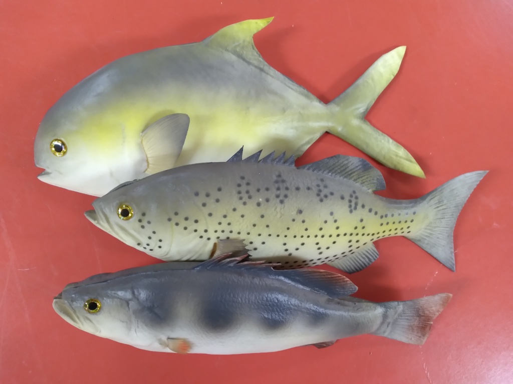Fish – Prop Closet