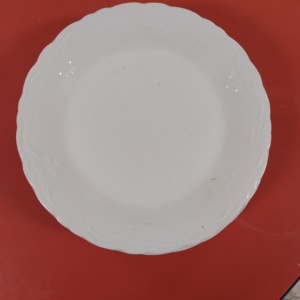 White China Plates