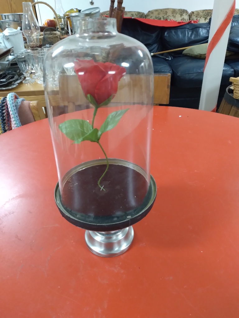 Beauty and the Beast Rose Prop Closet