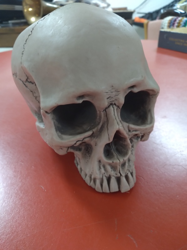 Skulls