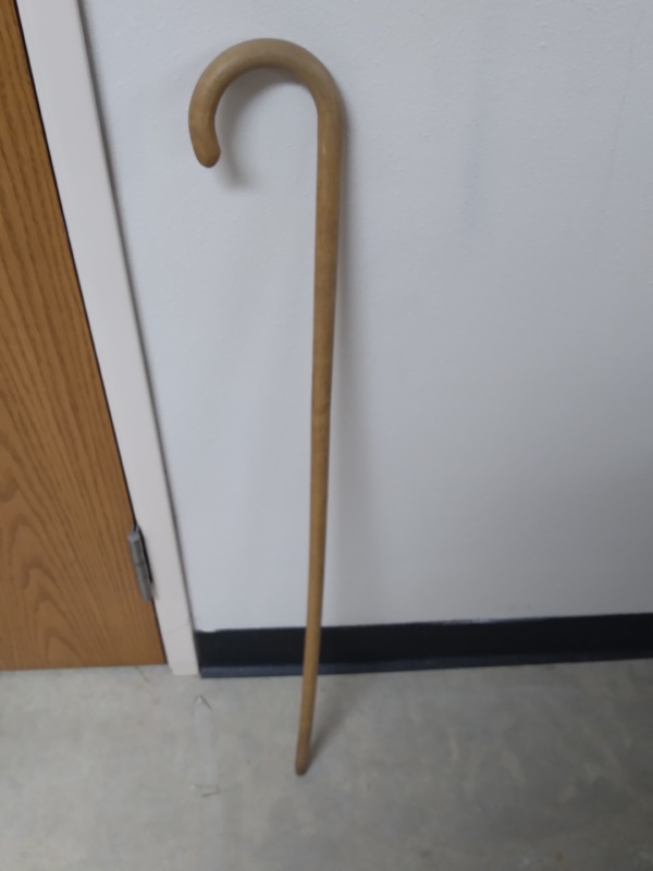 Cane