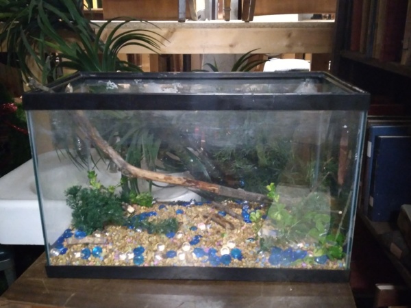 Glass terrarium