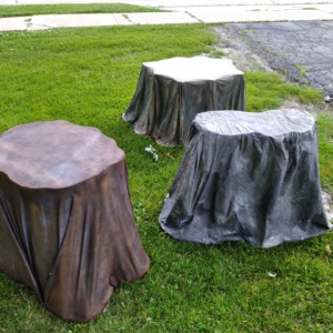 Tree Stumps