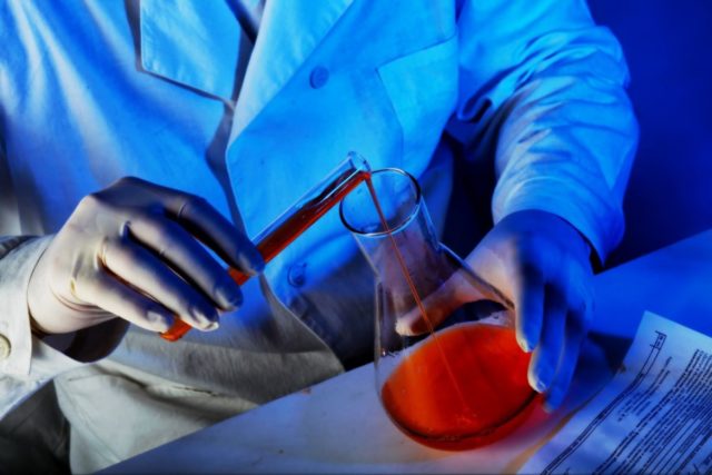 Genetic Formula to Grow Potatoes and a Science Scholarship