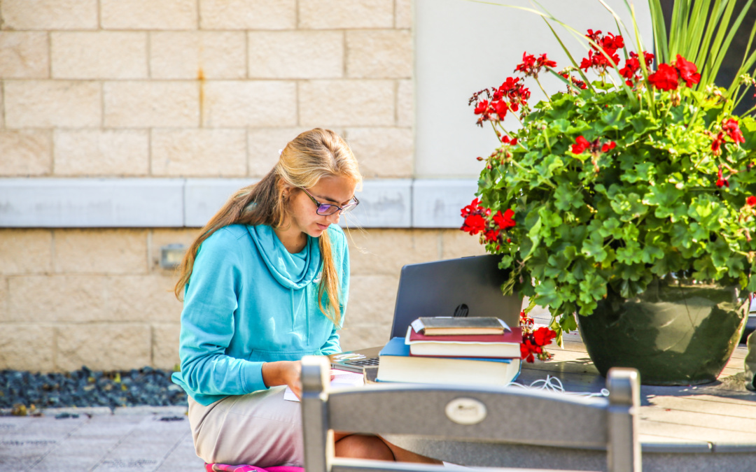 Beyond the FAFSA | Explore Your Options