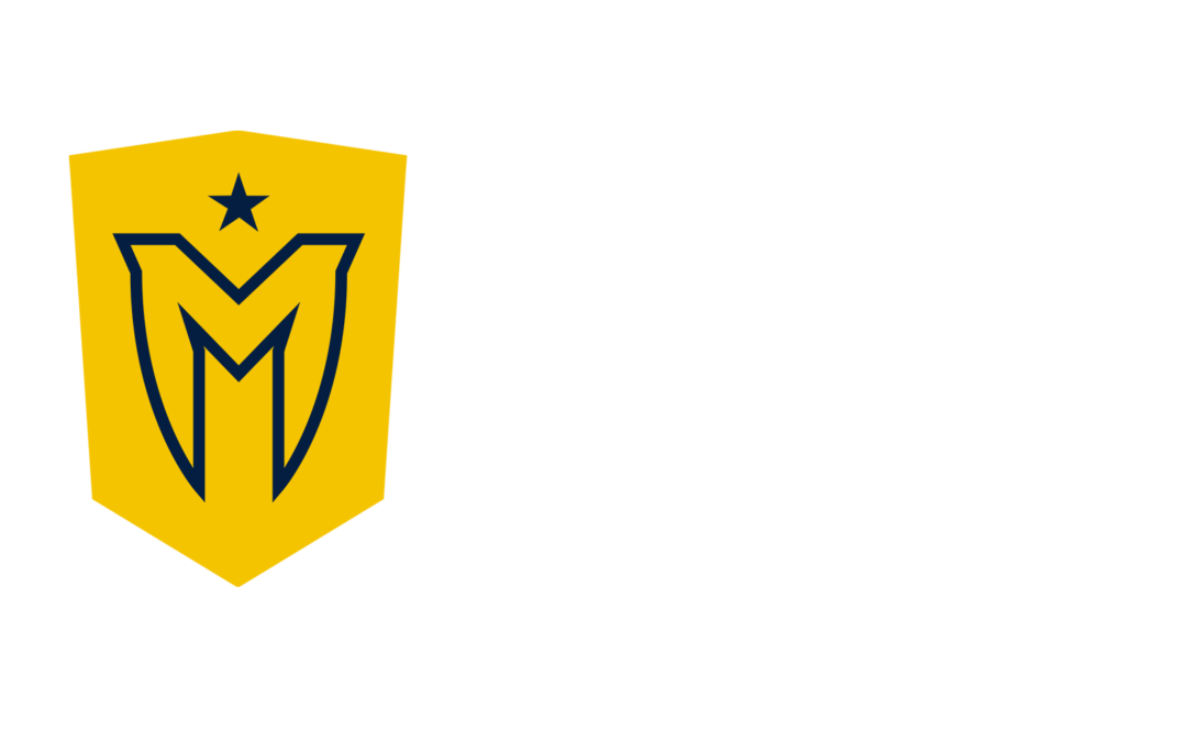 SMT-Icon